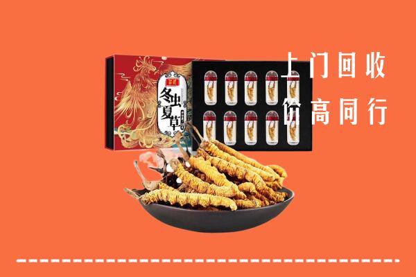 恩施回收虫草